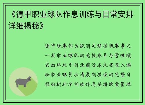《德甲职业球队作息训练与日常安排详细揭秘》